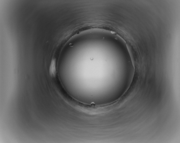 X0000113090028200908281252