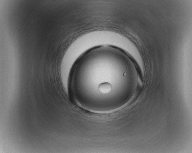 X0000113090029200908281252