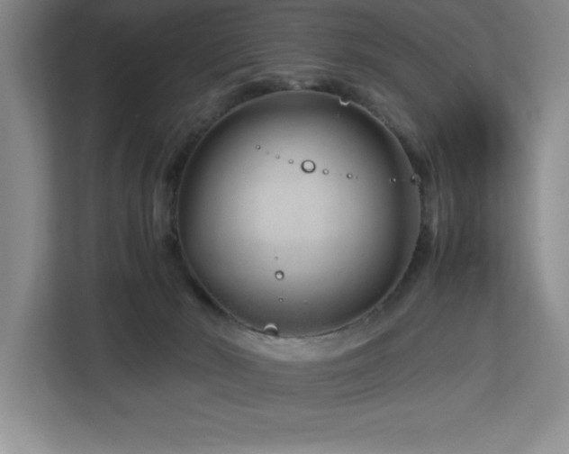 X0000113090030200908281252