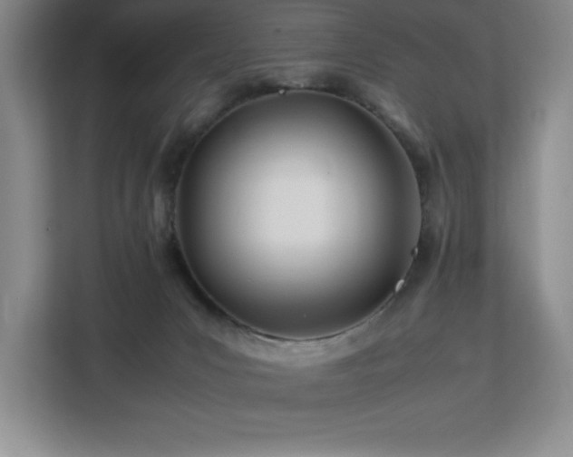 X0000113090031200908281252
