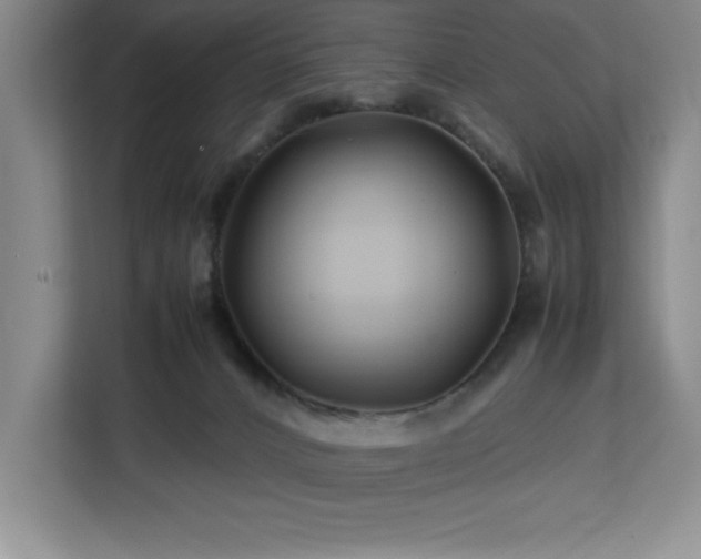 X0000113090032200908281252