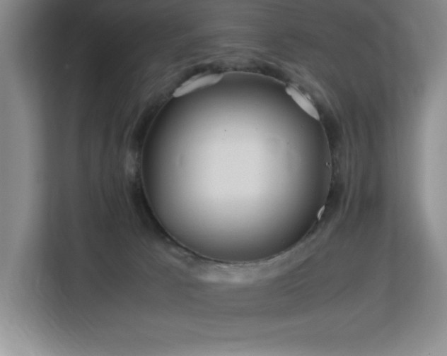 X0000113090033200908281252