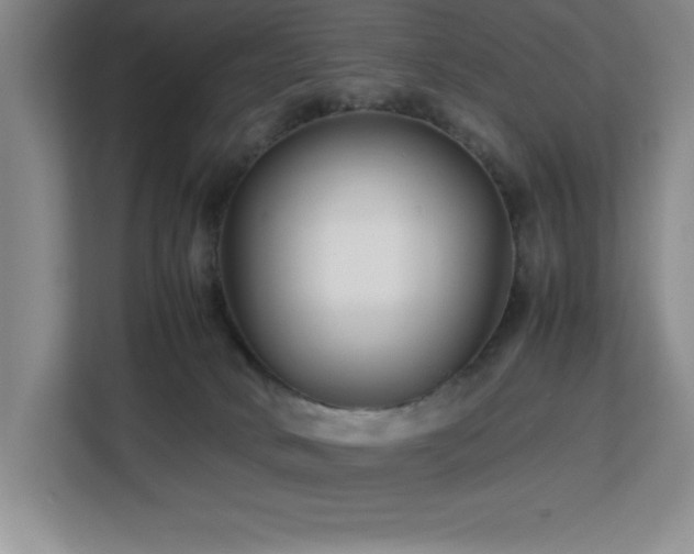 X0000113090034200908281252