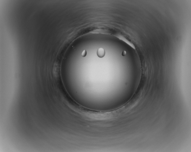 X0000113090036200908281252