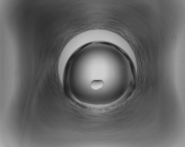 X0000113090037200908281252