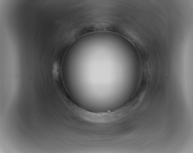 X0000113090038200908281252