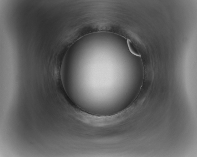 X0000113090039200908281252