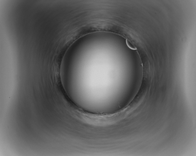 X0000113090040200908281252