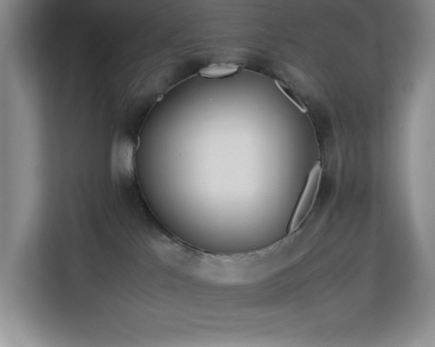 X0000113090041200908281252