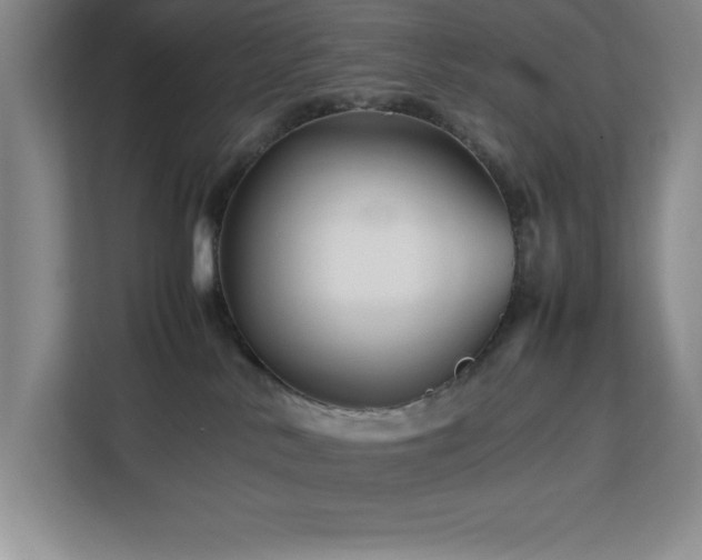X0000113090042200908281252