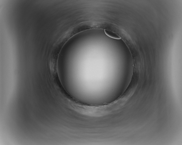 X0000113090044200908281252