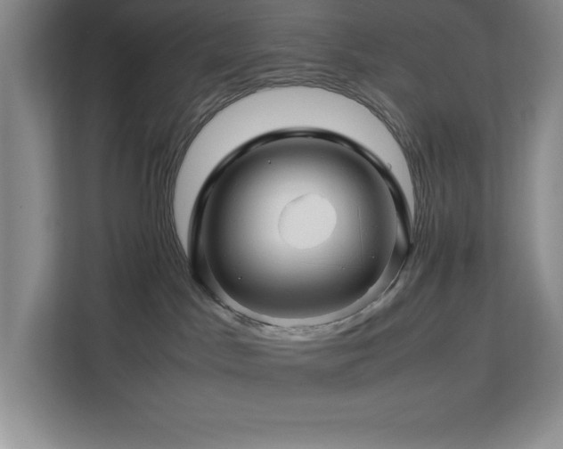 X0000113090045200908281252