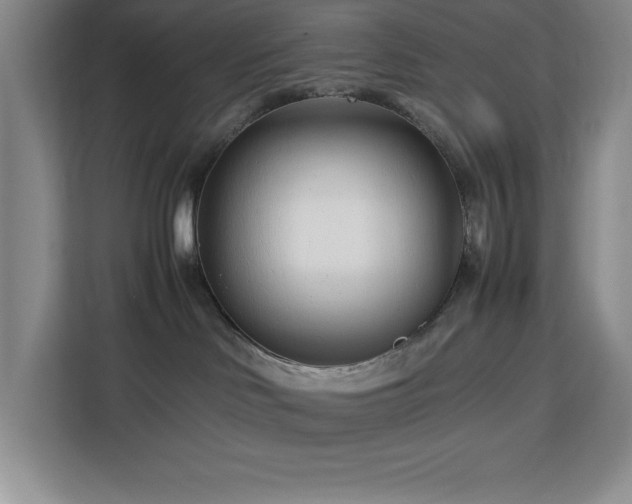 X0000113090046200908281252