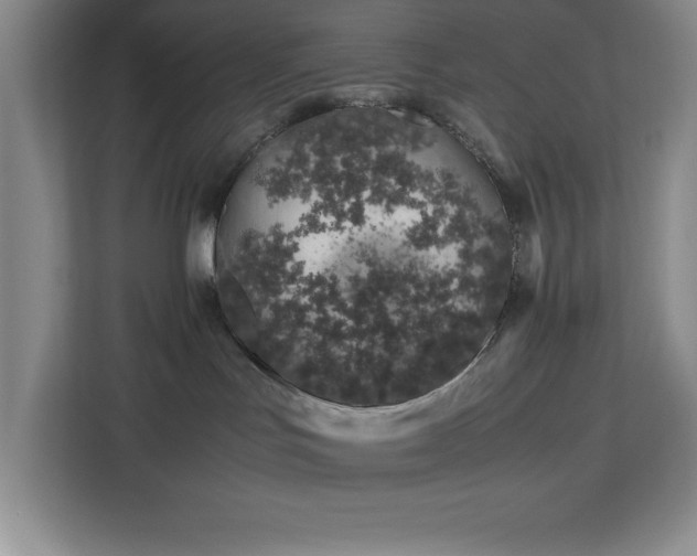 X0000113090047200908281252