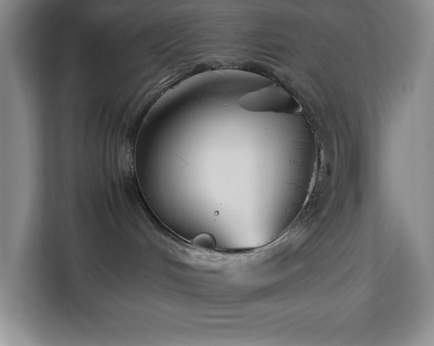 X0000113090048200908281252