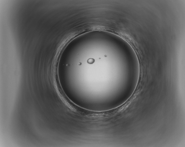 X0000113090049200908281251