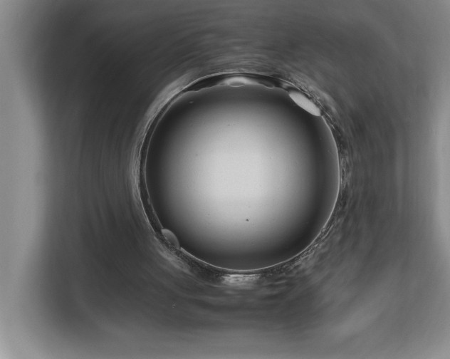 X0000113090051200908281251