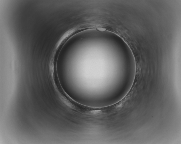 X0000113090054200908281251