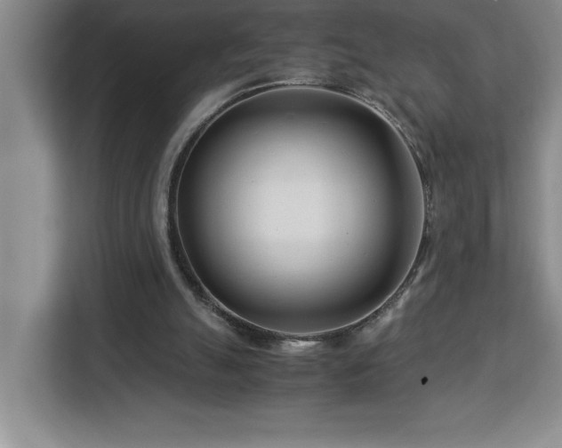 X0000113090055200908281251