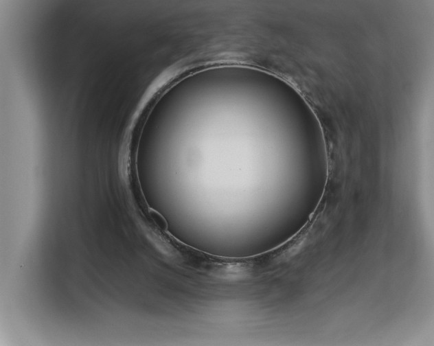X0000113090056200908281251