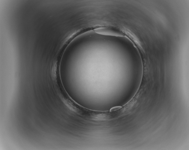 X0000113090058200908281251