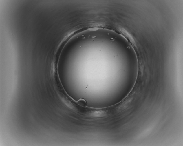 X0000113090059200908281251