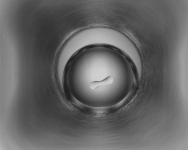 X0000113090060200908281251