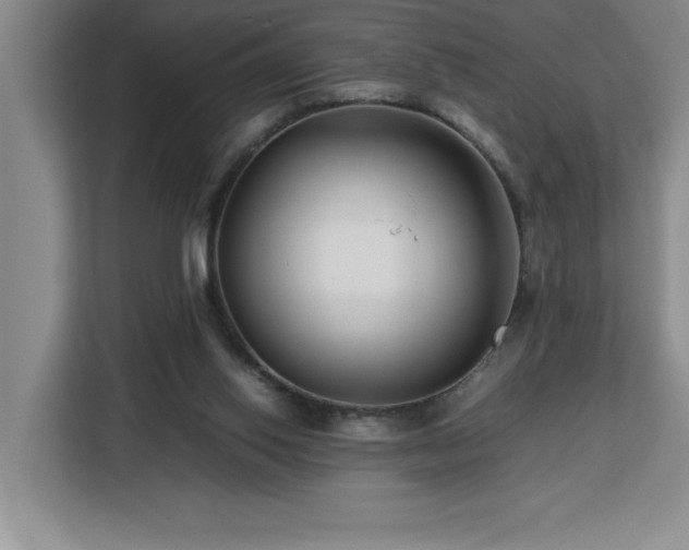 X0000113090062200908281251