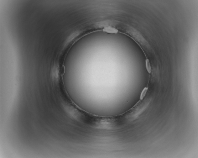 X0000113090064200908281251
