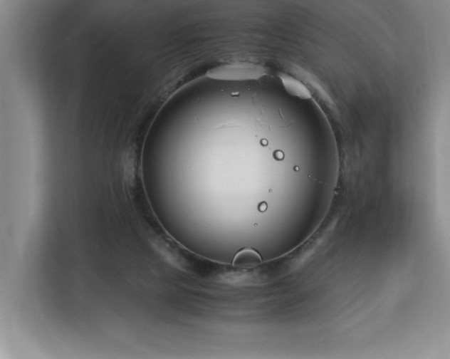 X0000113090065200908281252