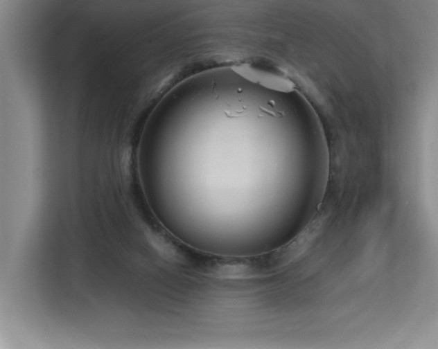 X0000113090066200908281252
