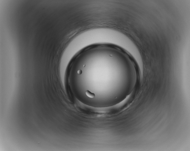 X0000113090068200908281252