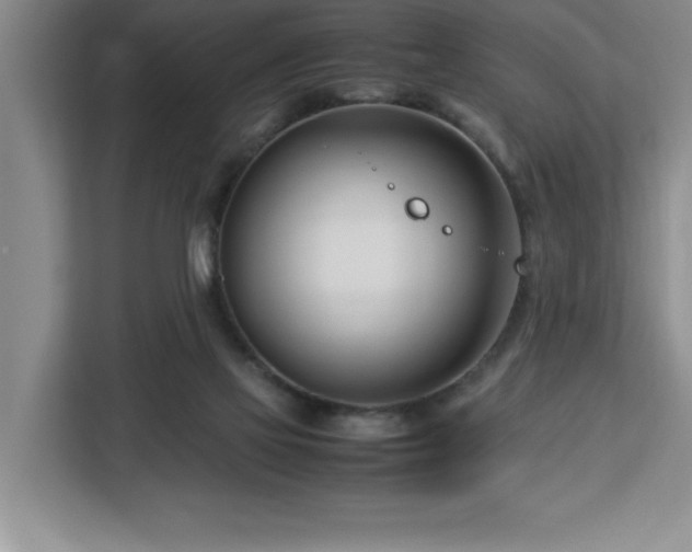 X0000113090069200908281252