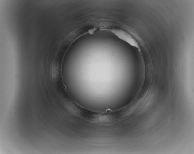 X0000113090073200908281252