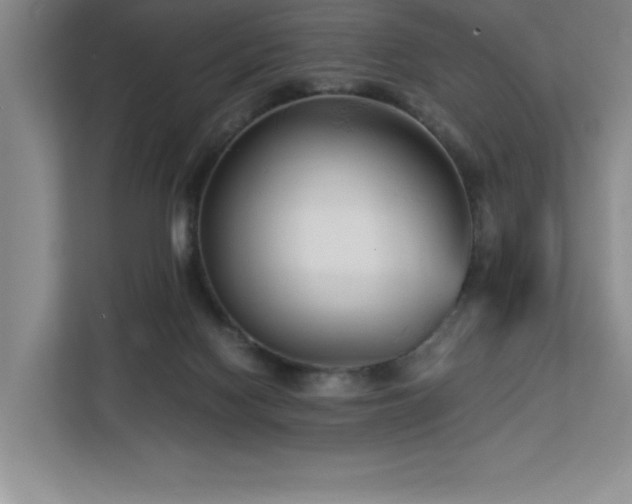 X0000113090074200908281252