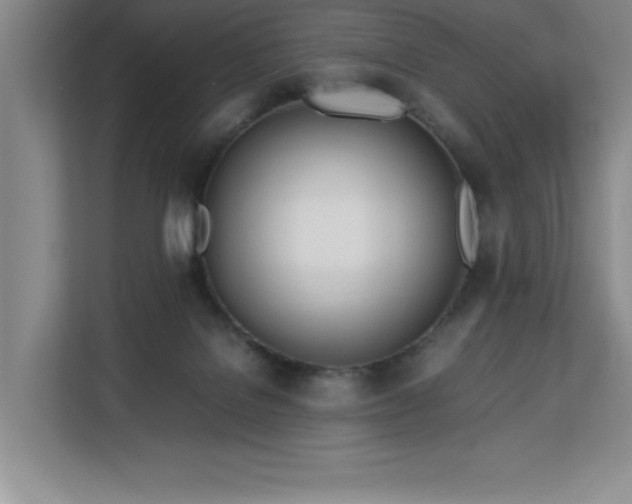 X0000113090076200908281252
