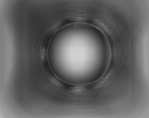 X0000113090077200908281252