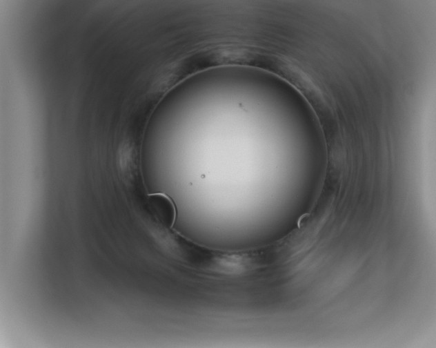 X0000113090079200908281252