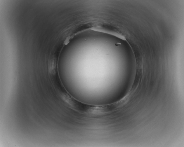 X0000113090082200908281252
