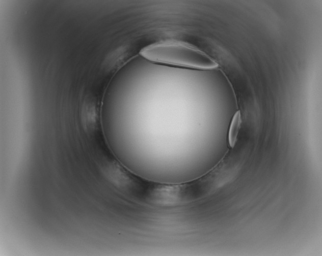 X0000113090084200908281252
