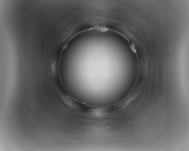 X0000113090088200908281252