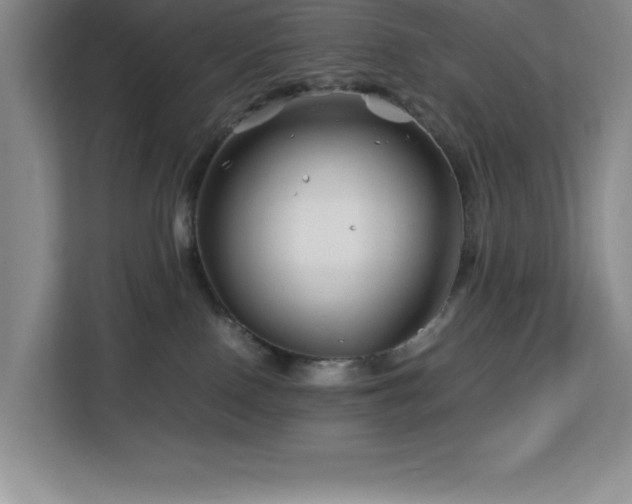 X0000113090090200908281252
