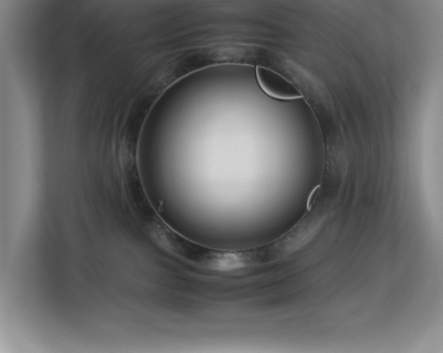 X0000113090091200908281252