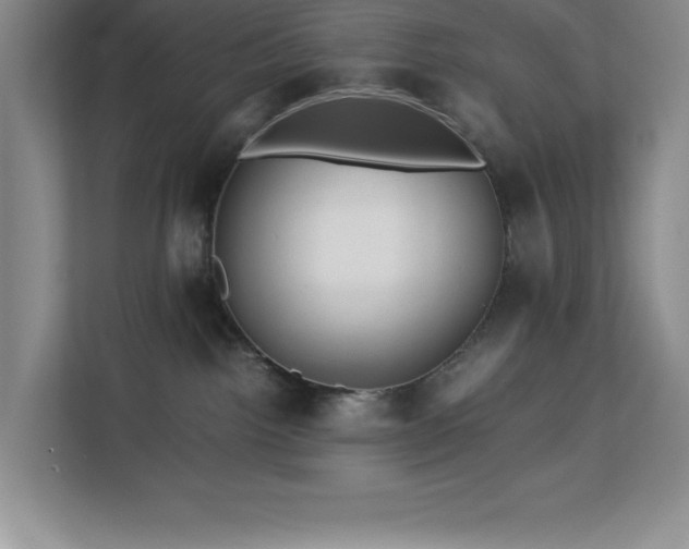 X0000113090092200908281252