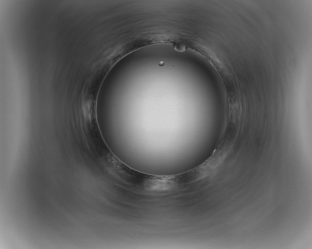 X0000113090093200908281252