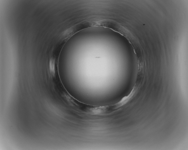 X0000113090094200908281252