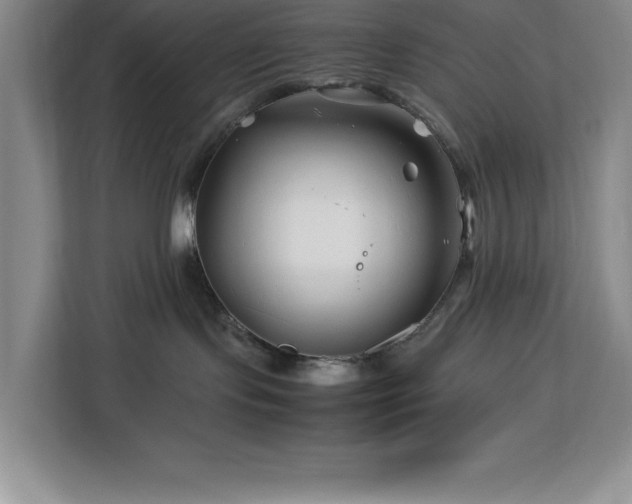 X0000113090095200908281252