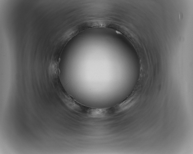 X0000113090096200908281252
