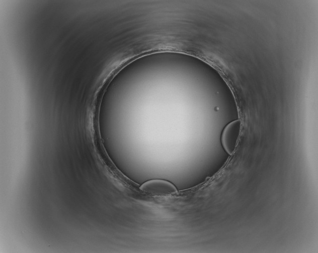 X0000113090098200908281251