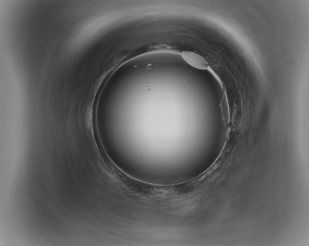 X0000113090099200908281251